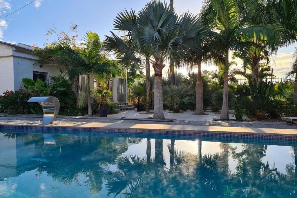 Tropical Paradise Villa In Torrevieja Exterior photo