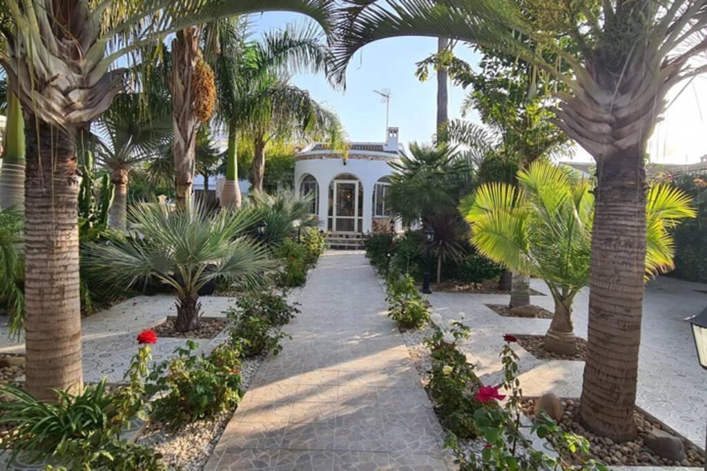 Tropical Paradise Villa In Torrevieja Exterior photo