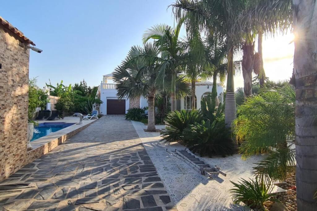 Tropical Paradise Villa In Torrevieja Exterior photo