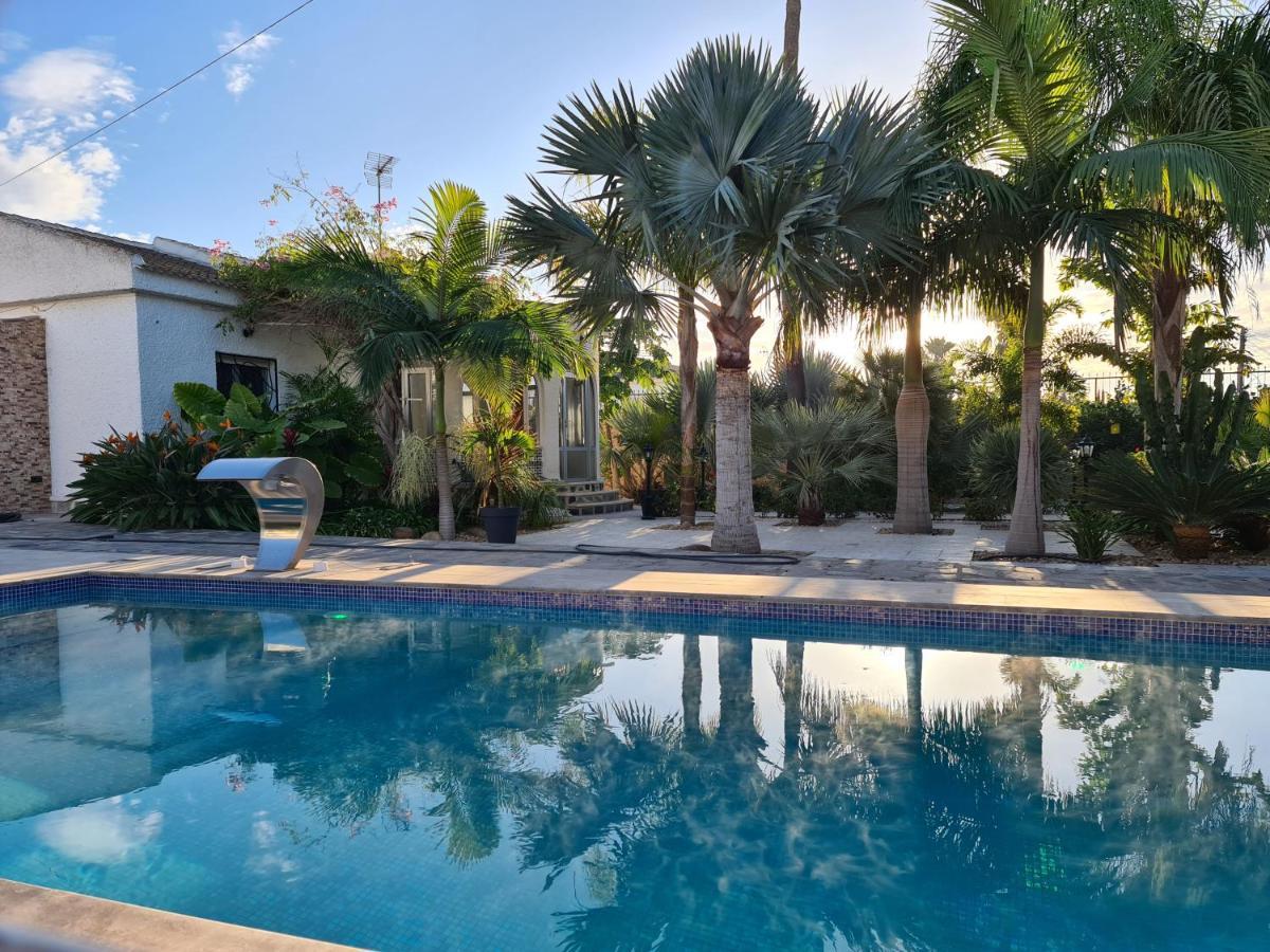 Tropical Paradise Villa In Torrevieja Exterior photo